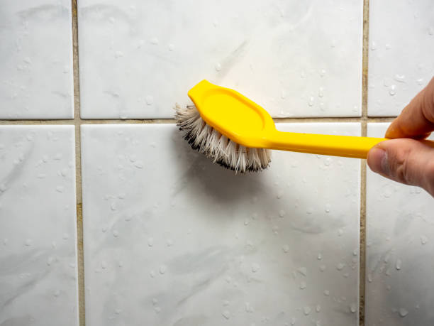Mold Removal and Inspection in Venice Gardens, FL