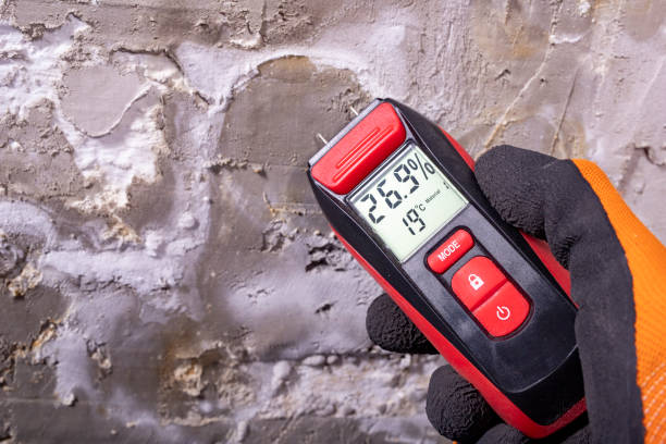 Best Water Damage Restoration  in Venice Gardens, FL