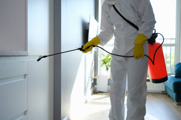 Best Attic Mold Removal  in Venice Gardens, FL