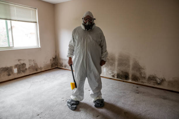 Best Professional Mold Removal  in Venice Gardens, FL